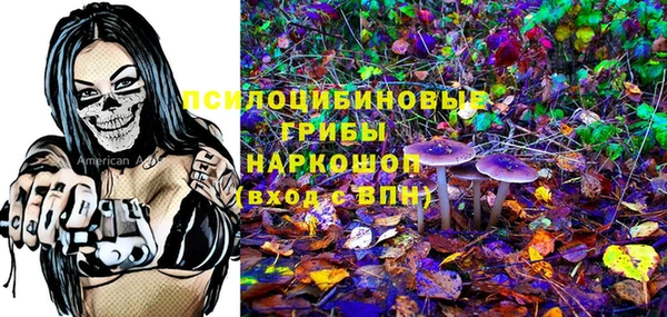 прущие грибы Няндома