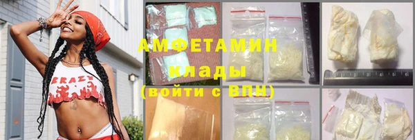 прущие грибы Няндома