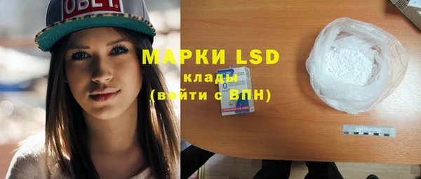 прущие грибы Няндома