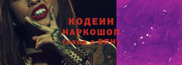 прущие грибы Няндома