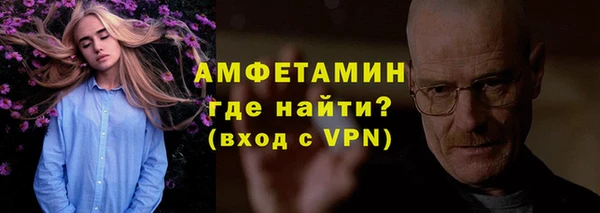 прущие грибы Няндома