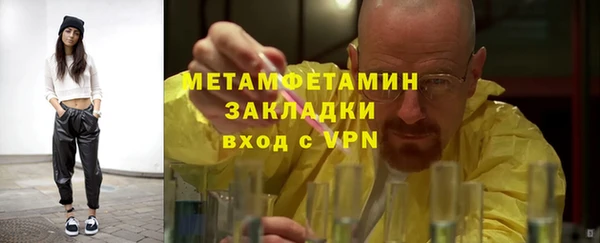 прущие грибы Няндома