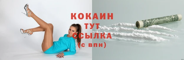 прущие грибы Няндома