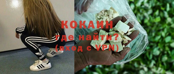 прущие грибы Няндома