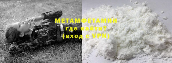 прущие грибы Няндома