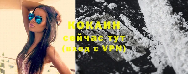 прущие грибы Няндома